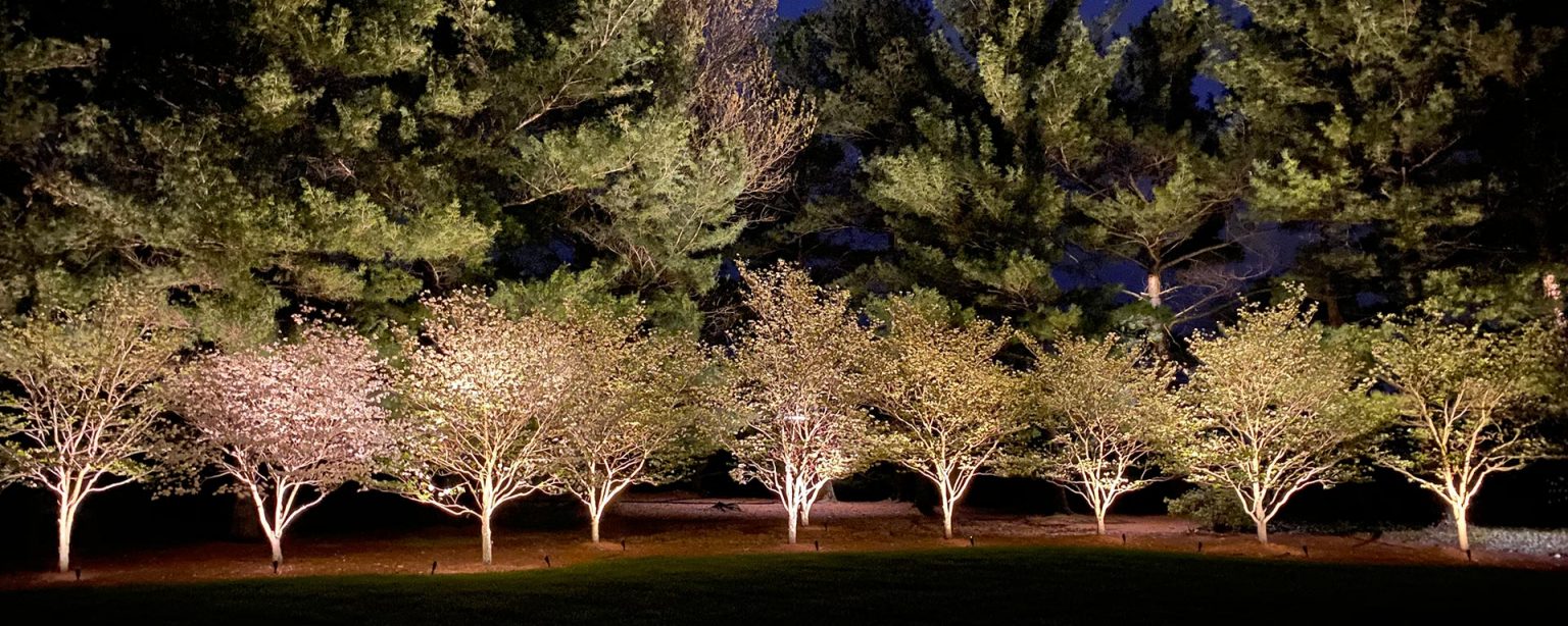 Red Oak Outdoor Lighting Lexington, KY (859) 2298710